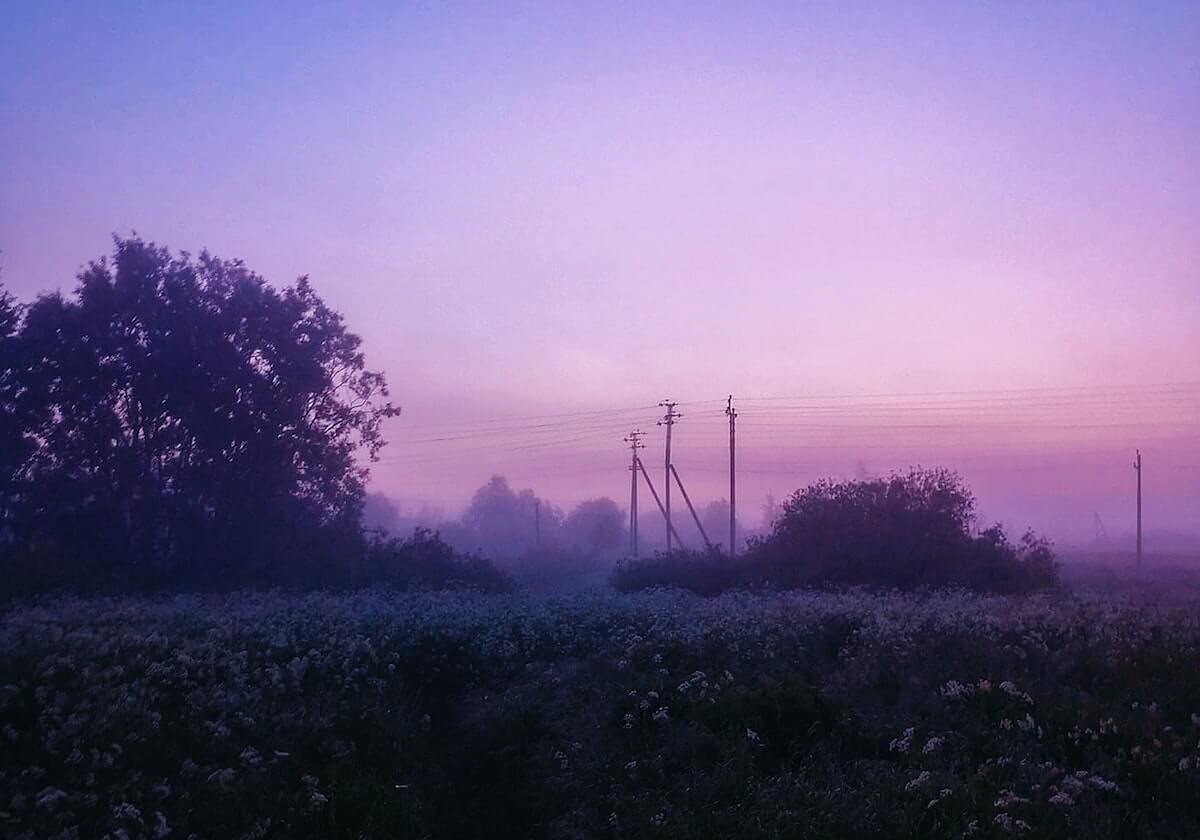 开云网页版-陈梦孙颖莎领衔深圳三战全胜 世界联队排名第二